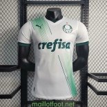 Maillot Match Palmeiras Exterieur 2023/2024