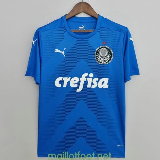 Maillot Palmeiras Gardien De But Blue 2022/2023