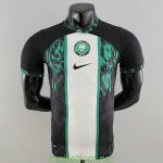 Maillot Match Nigeria Domicile 2022/2023