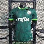 Maillot Match Palmeiras Domicile 2023/2024