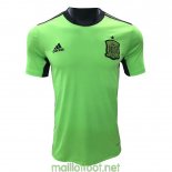 Maillot Espagne Gardien De But Green 2021/2022